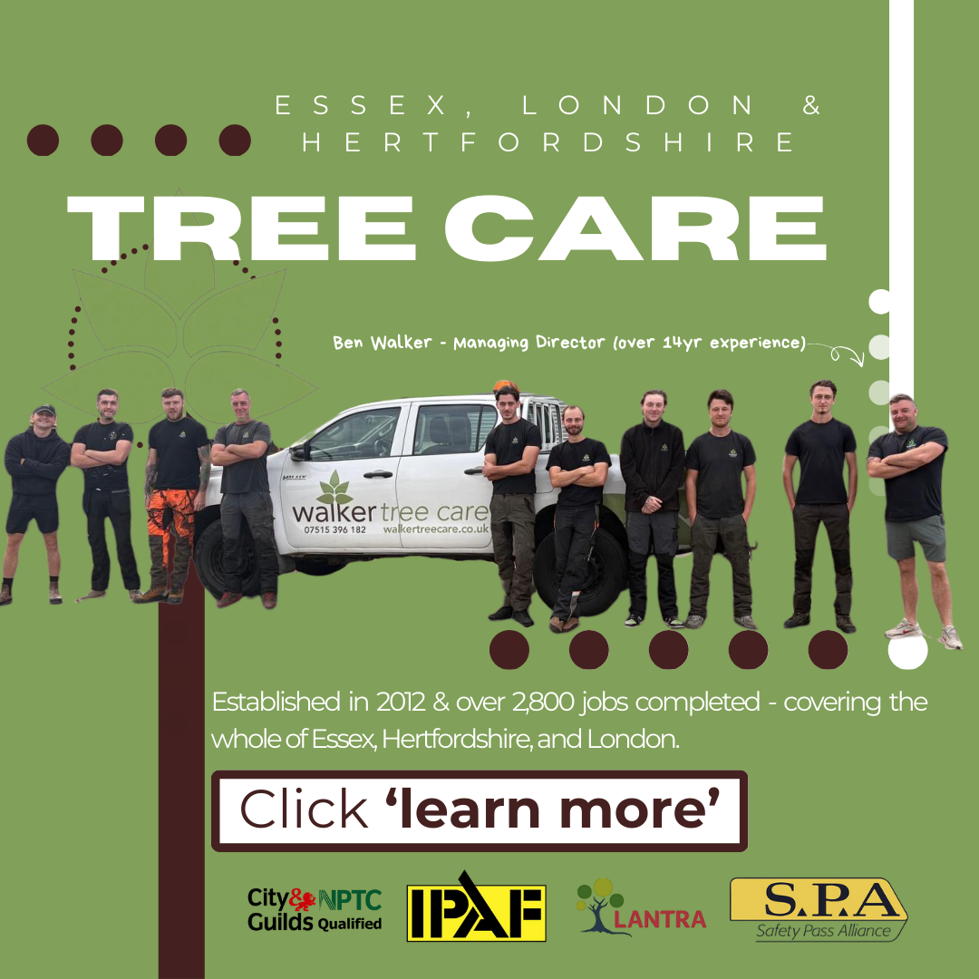 Walker Tree Care Facebook ad