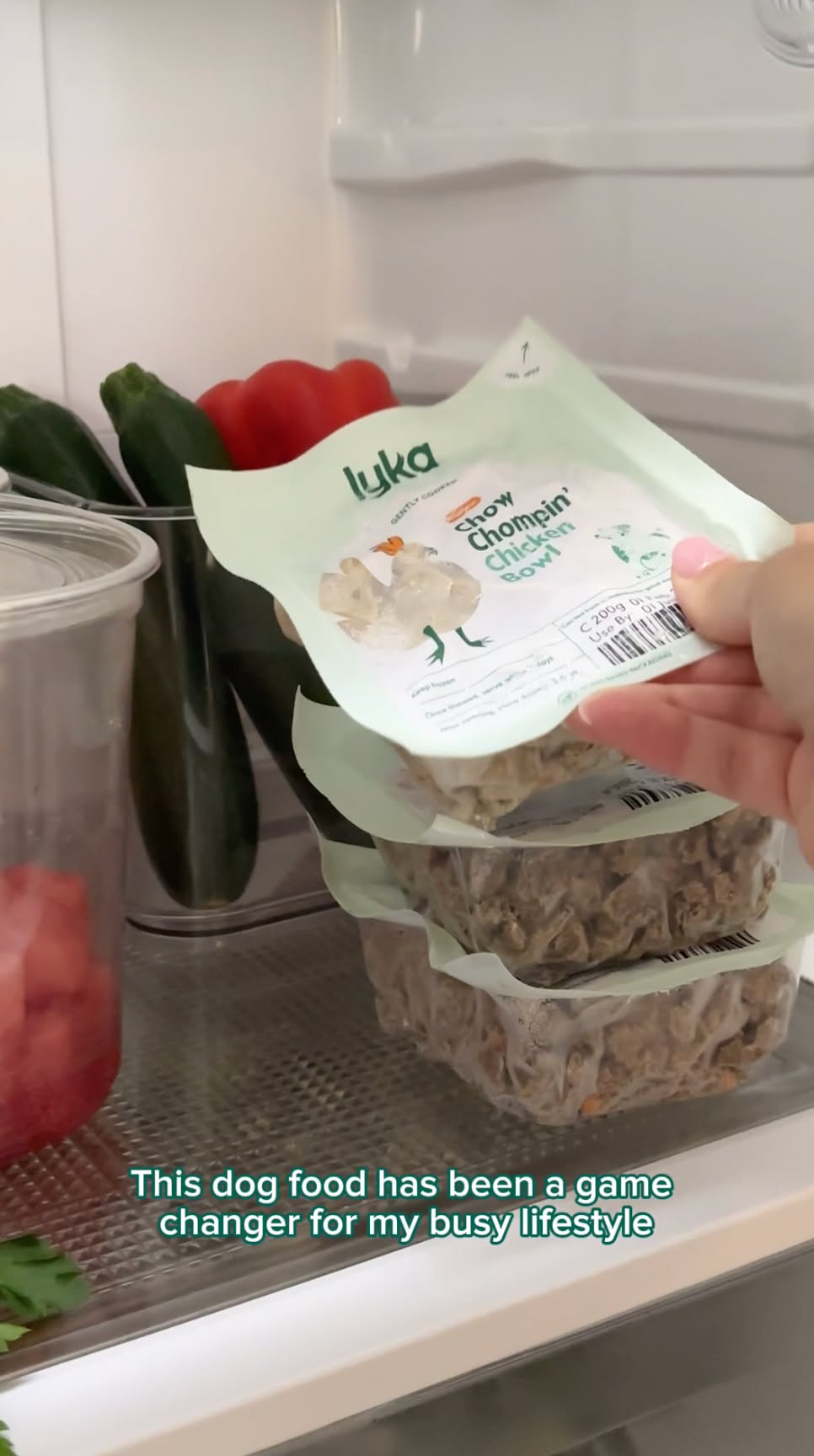 Lyka Pet Food Facebook ad from Aug 16, 2026