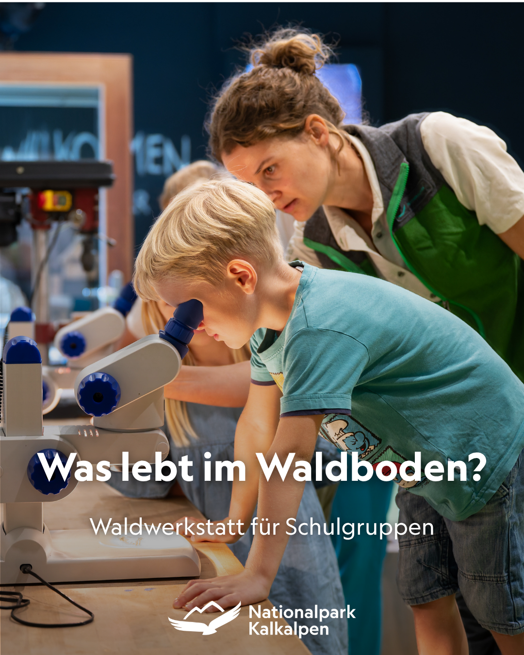 Nationalpark Kalkalpen Facebook ad: Was lebt eigentlich unter unseren Füßen?