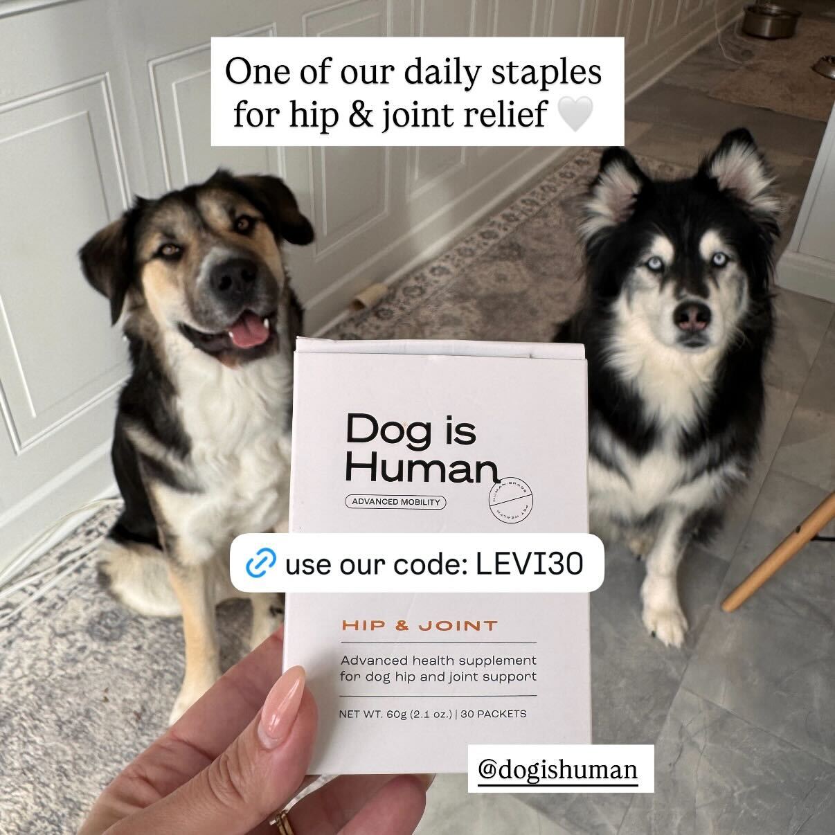 Dog is Human Facebook ad