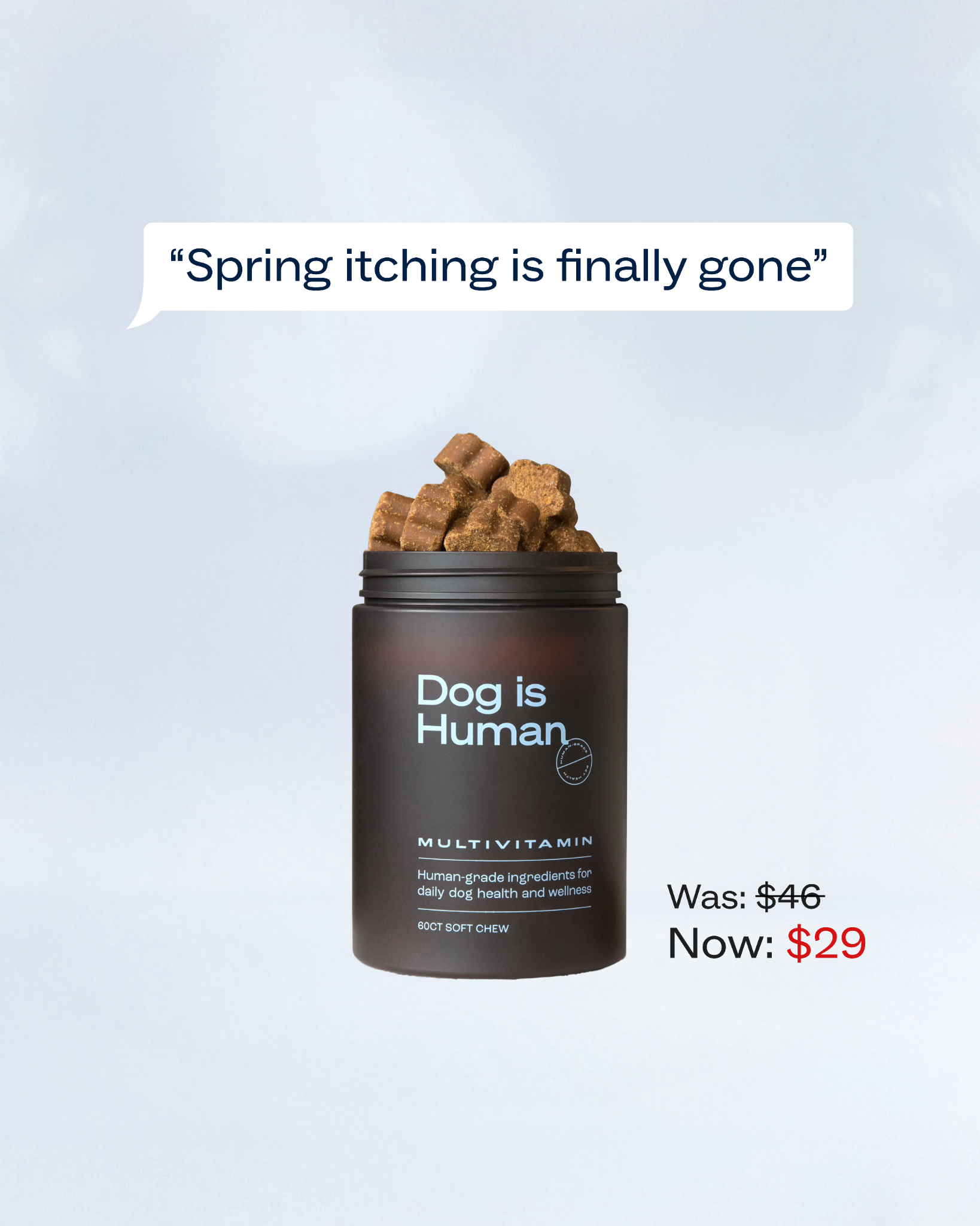 Dog is Human Facebook ad