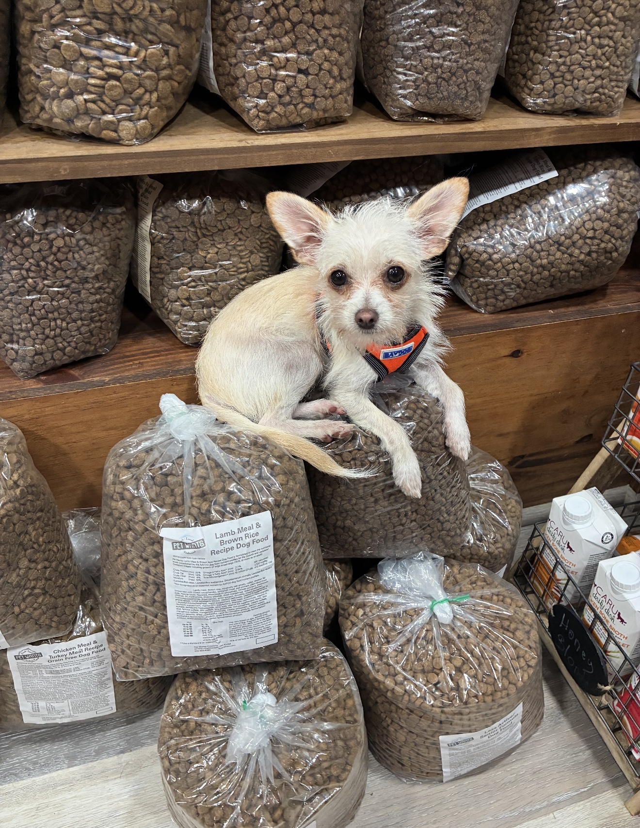 Pet Wants Facebook ad: Get to know Pet Wants dog & cat food