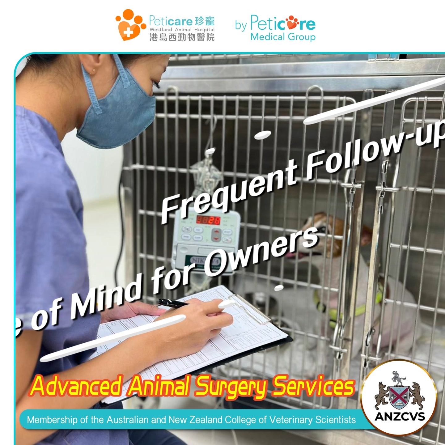 港島西動物醫院 - 動物手術中心 Westland Animal Hospital - Animal Surgery Center Facebook ad from Nov 1, 2025