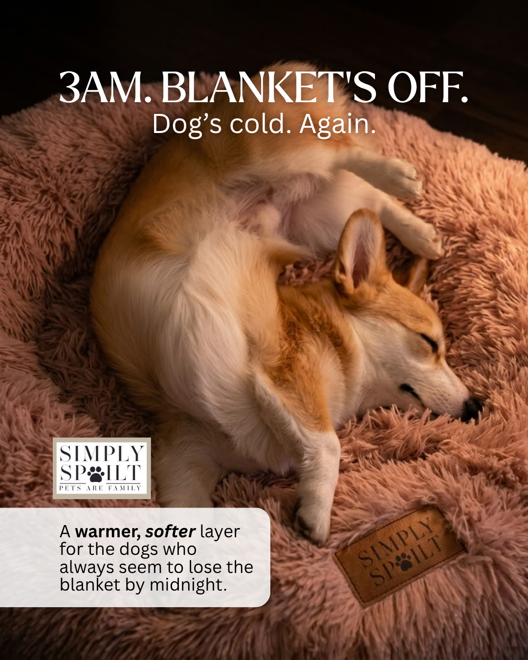 Simply Spoilt  - Luxury pet products Facebook ad