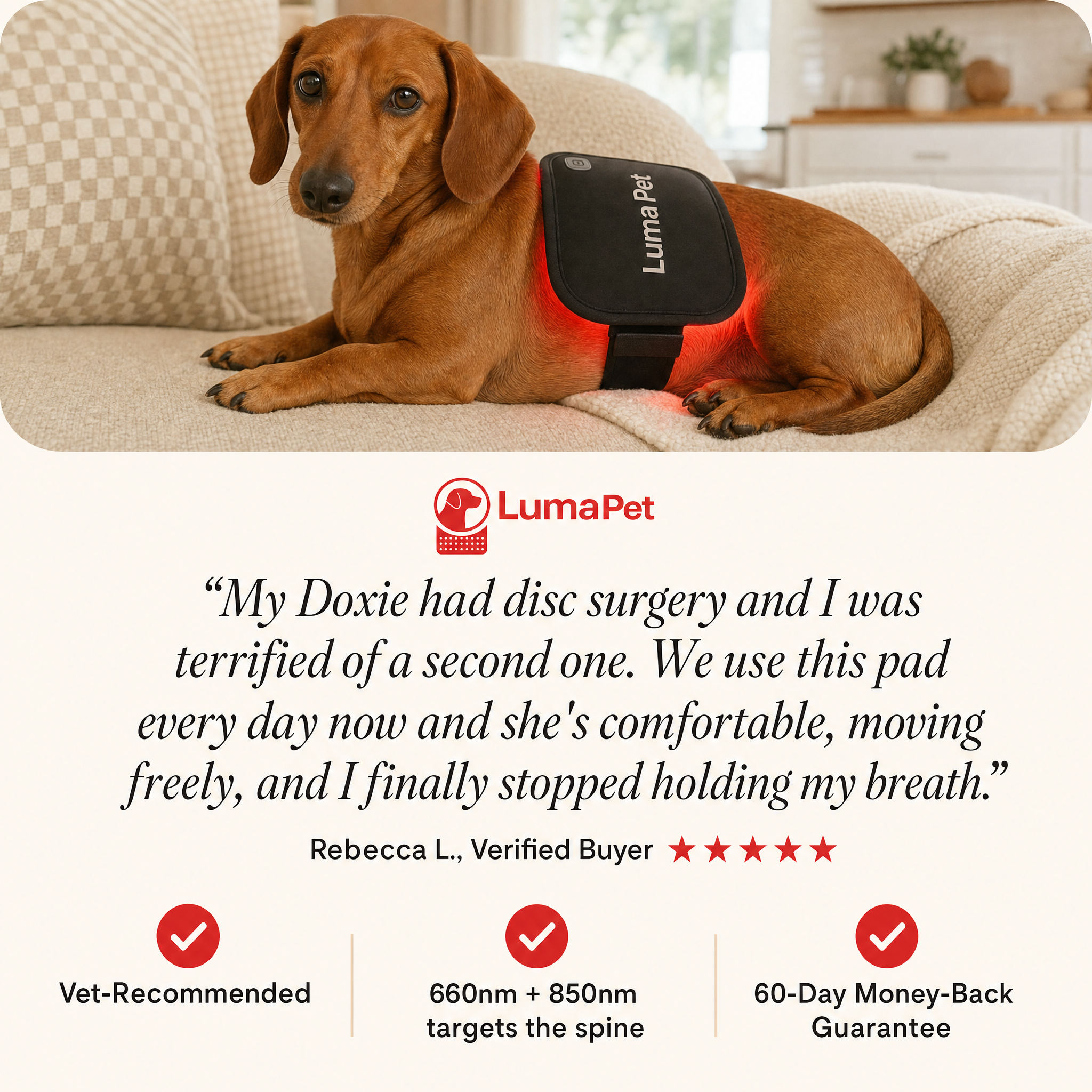 Luma Pet Facebook ad