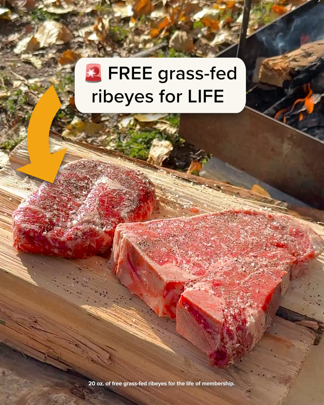 GoodChop Facebook ad