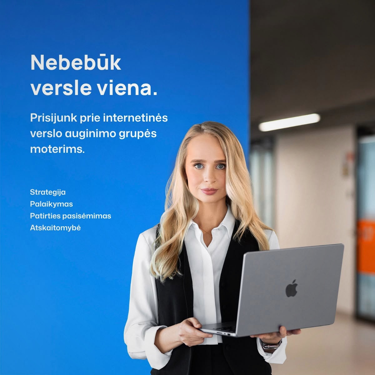 Verslo sparnai Facebook ad: LIKO 3 VIETOS