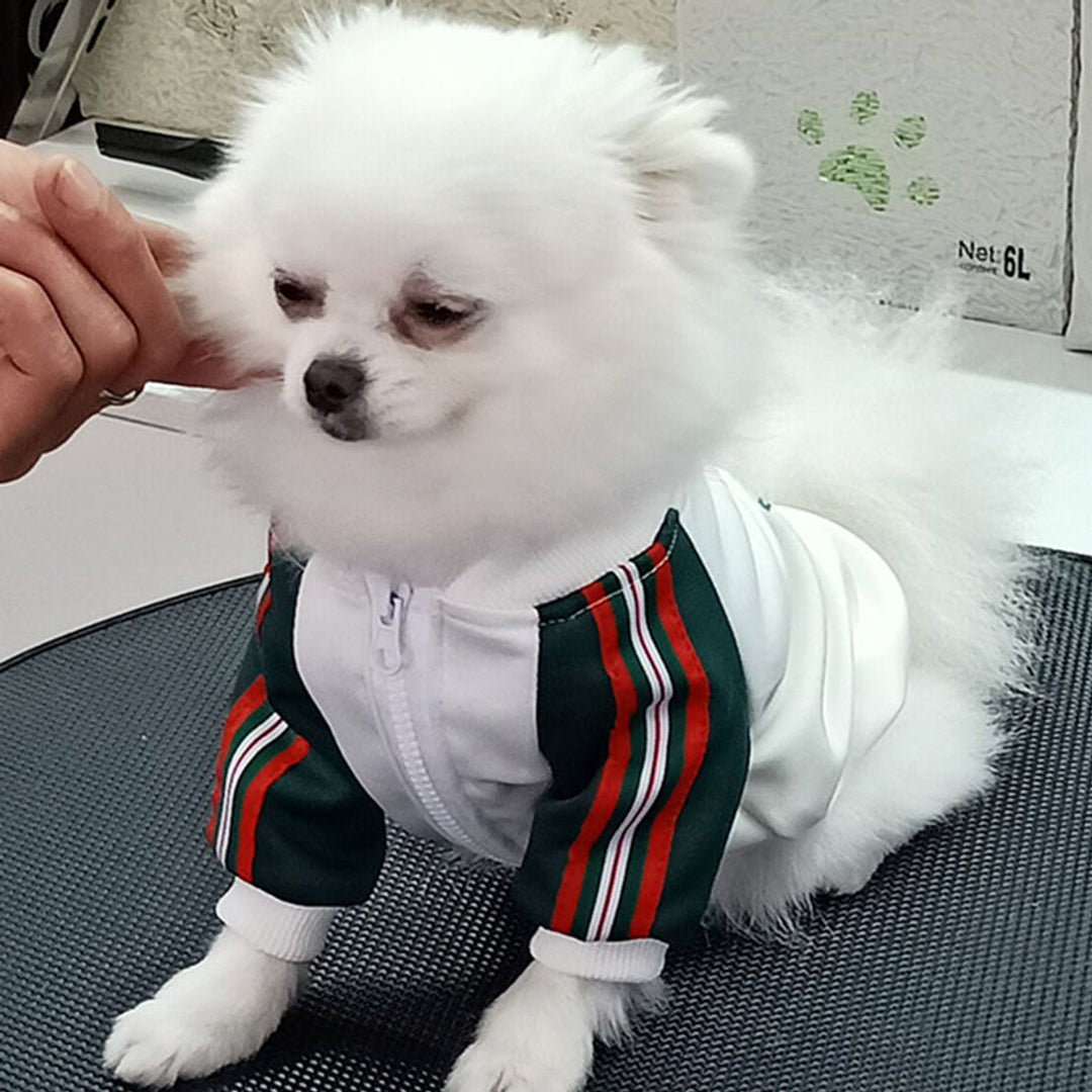Dear Doggo Fashion Facebook ad: Don't deprive your dog of their summer era Tap now