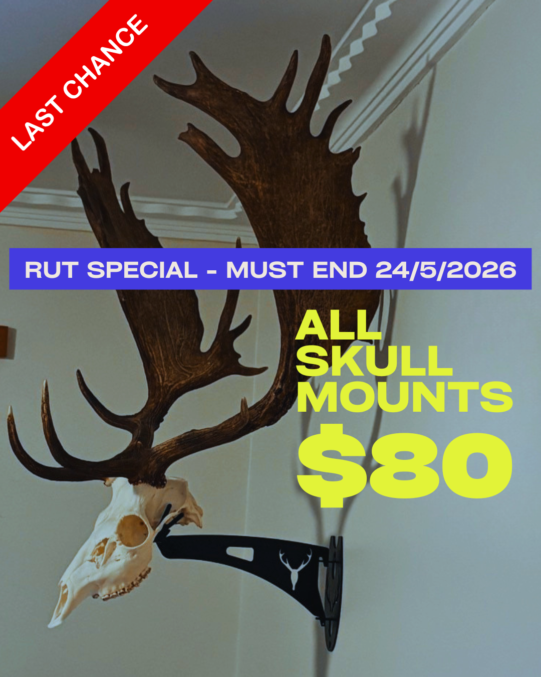 Aussie Skull Mounts and Designs Facebook ad