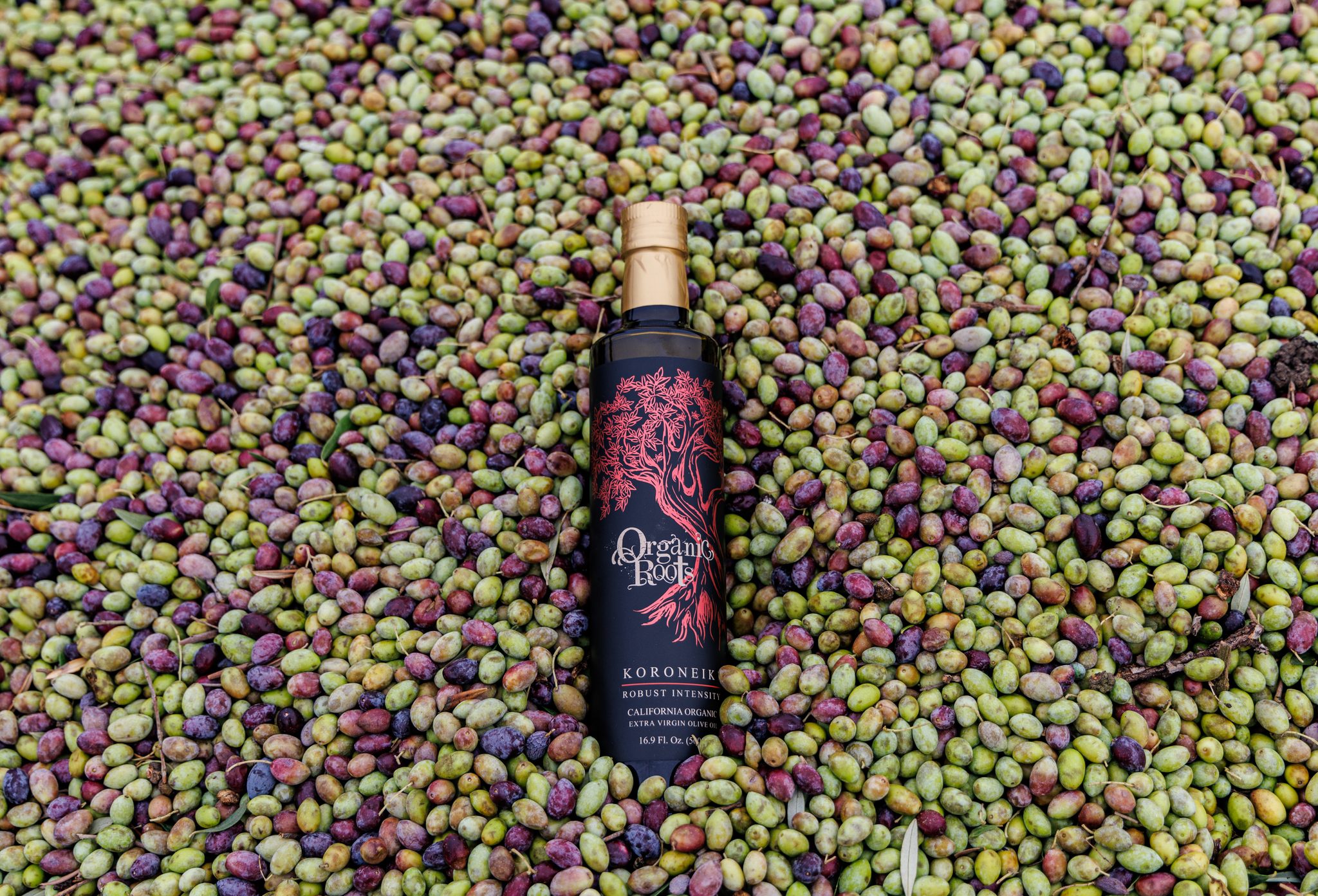 Organic Roots Extra Virgin Olive Oil Facebook ad: Organic Olive Oil Suppliers - California Olive Oil Producers