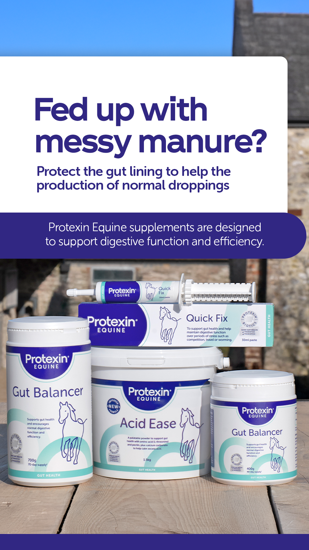 Protexin Equine Facebook ad