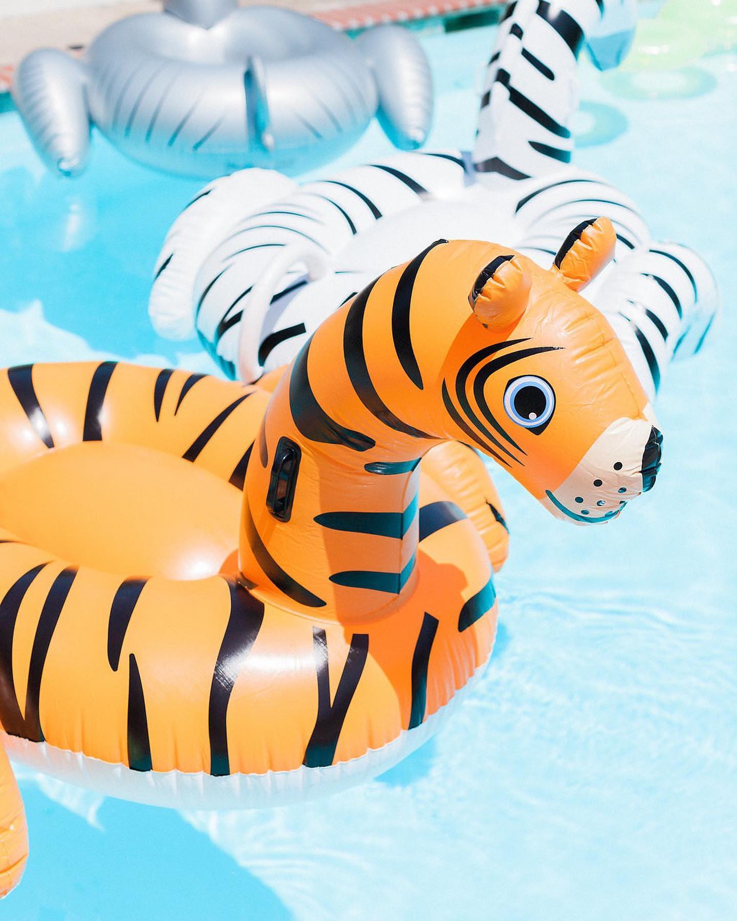 Swimline Facebook ad: We're bringing Madagascar to the water this Summer!