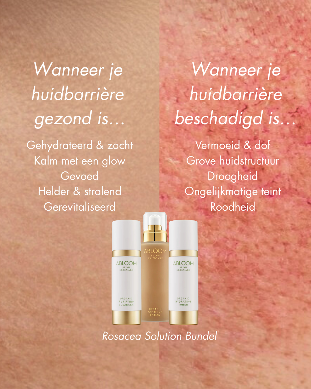 ABLOOM Slow Skincare Facebook ad