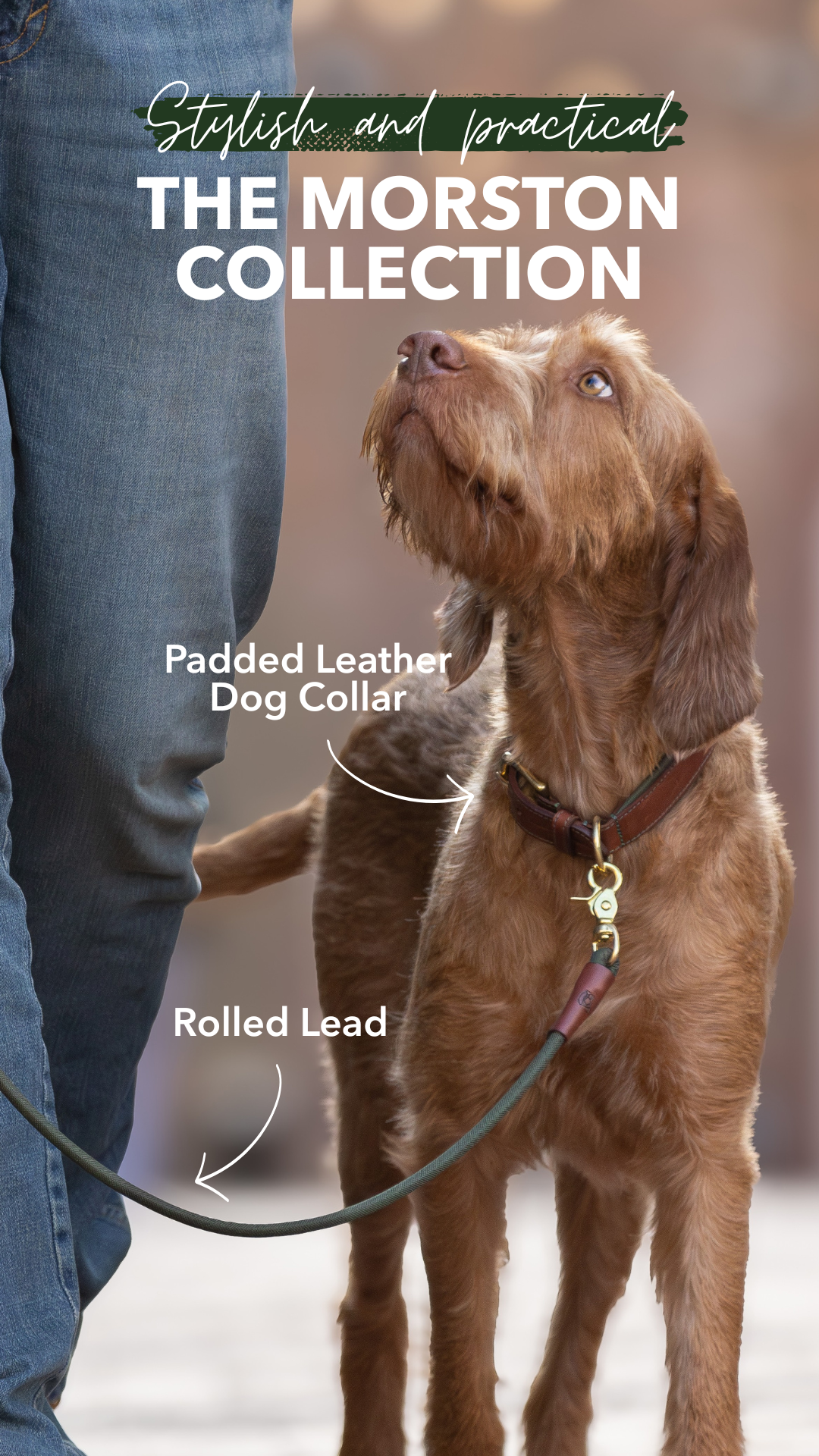 Ruff & Tumble Dog Drying Coats Facebook ad