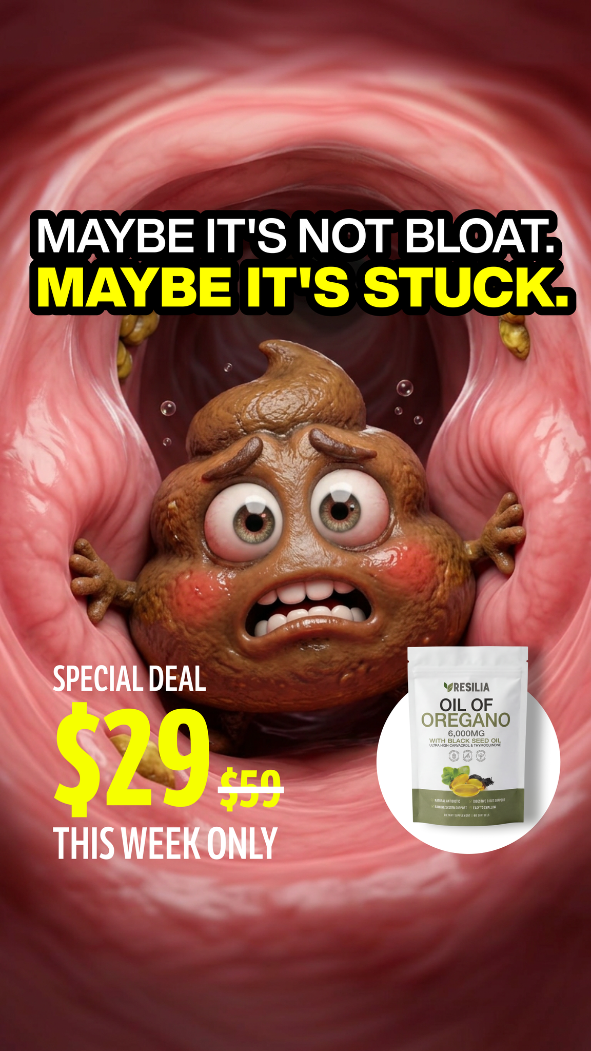 Resilia Facebook ad