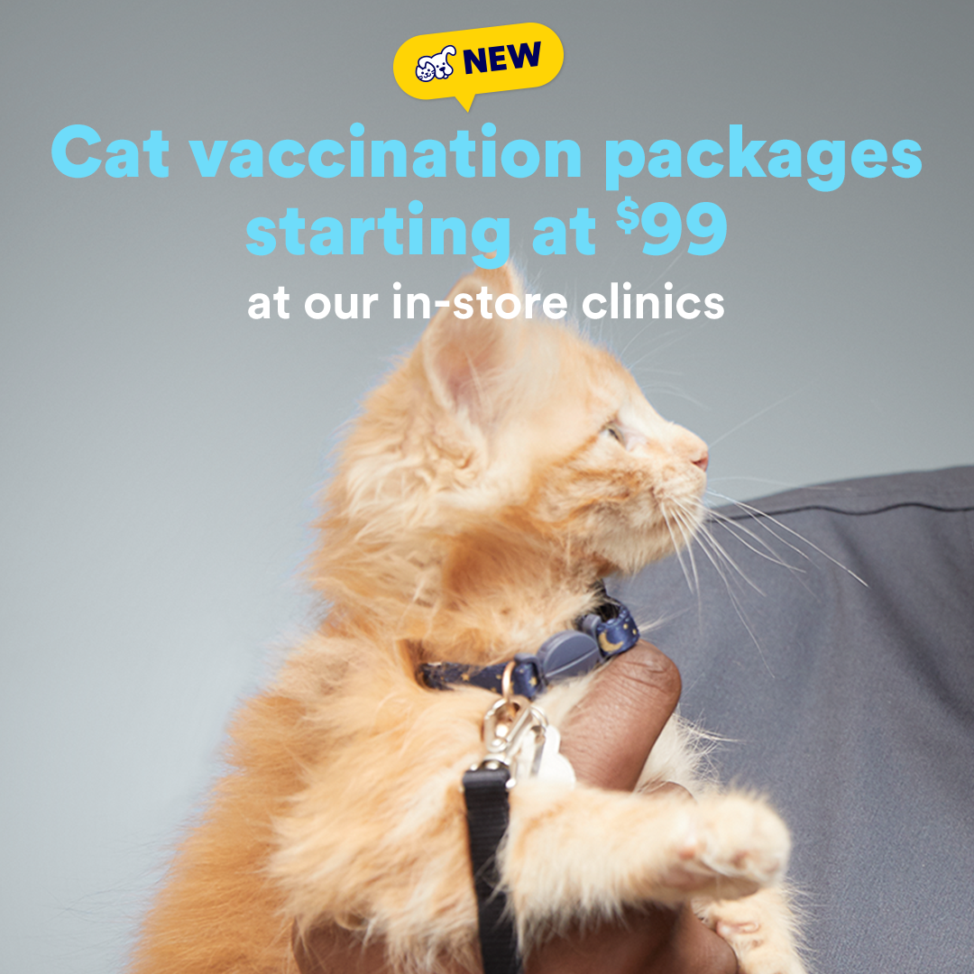 Petco Facebook ad