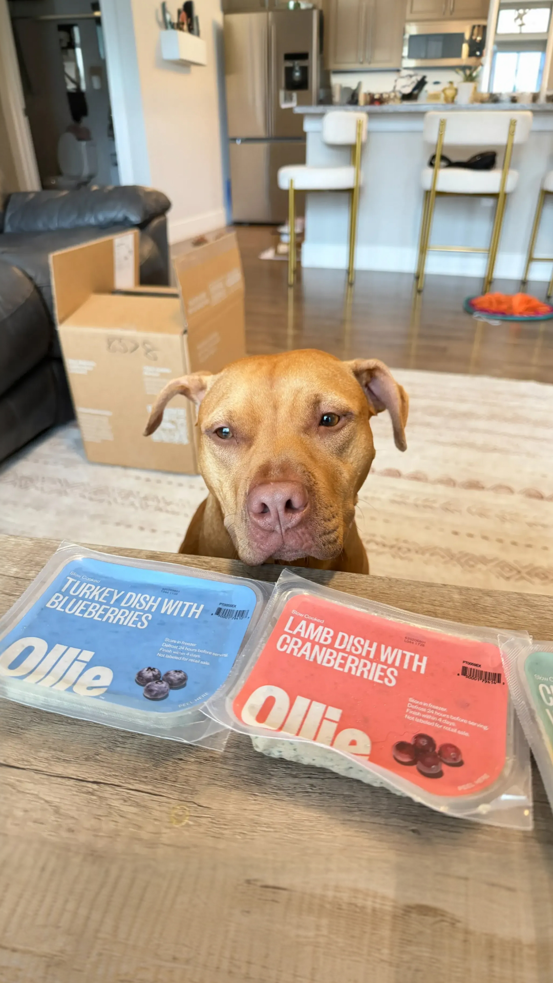 Ruby the Red Nose  Facebook ad