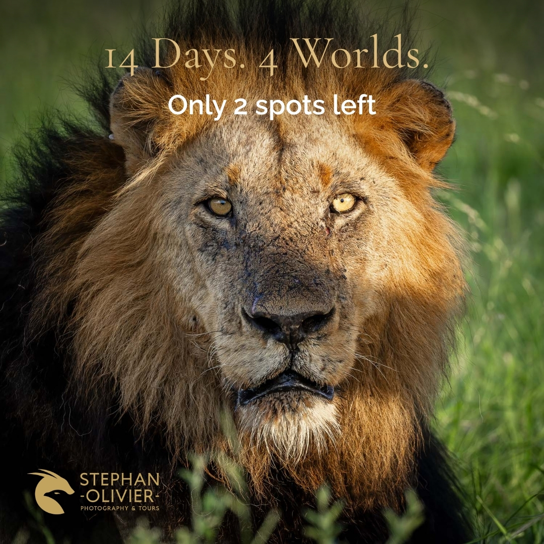 Stephan Olivier Photography & Tours Facebook ad: 14 days. 4 worlds.