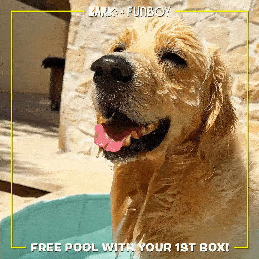 BarkBox Facebook ad