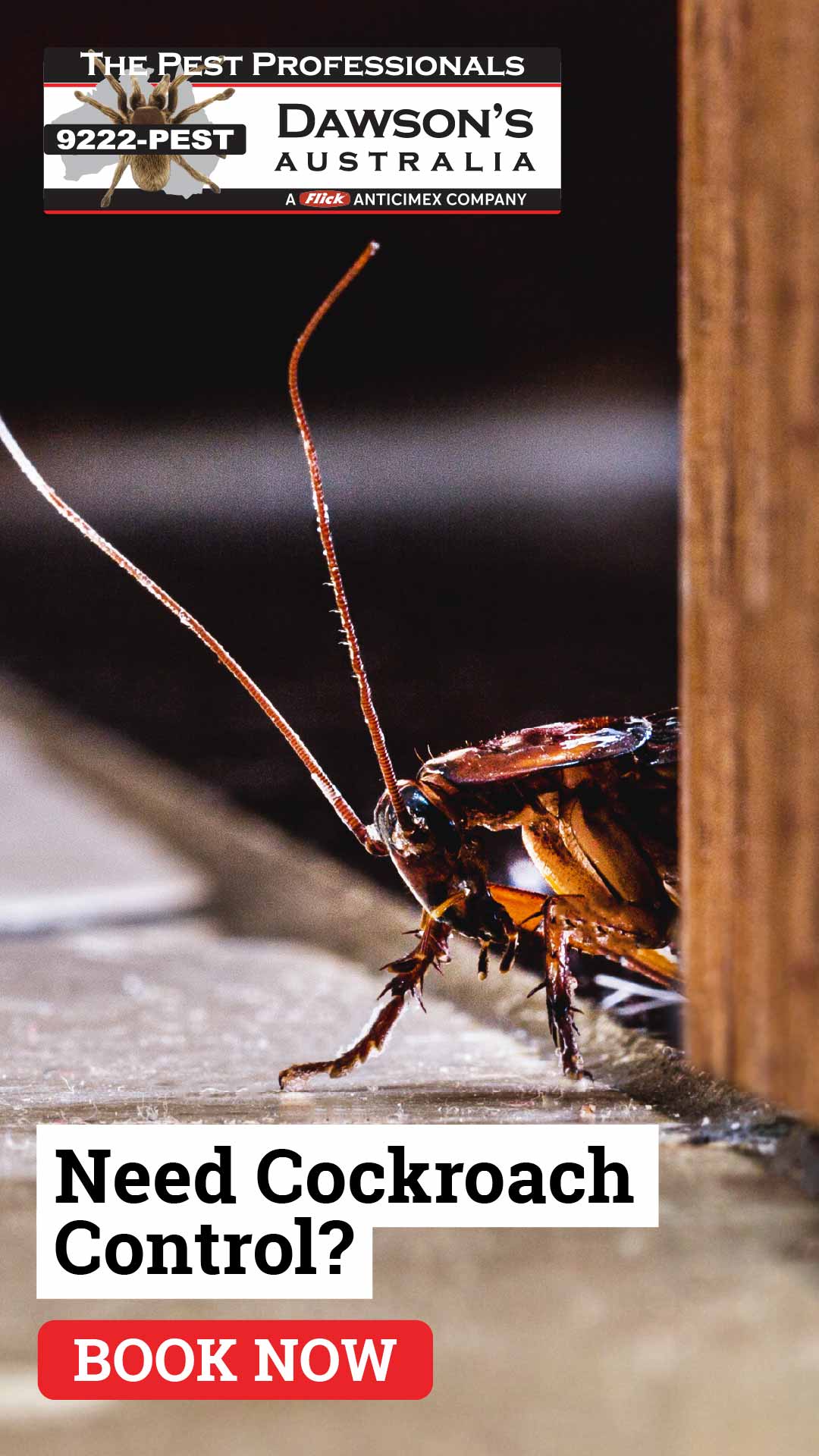 Dawson's Australia Pest Control Facebook ad
