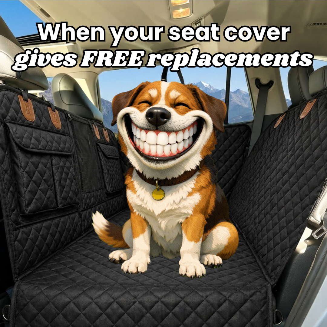 Pawpy Stuff Facebook ad