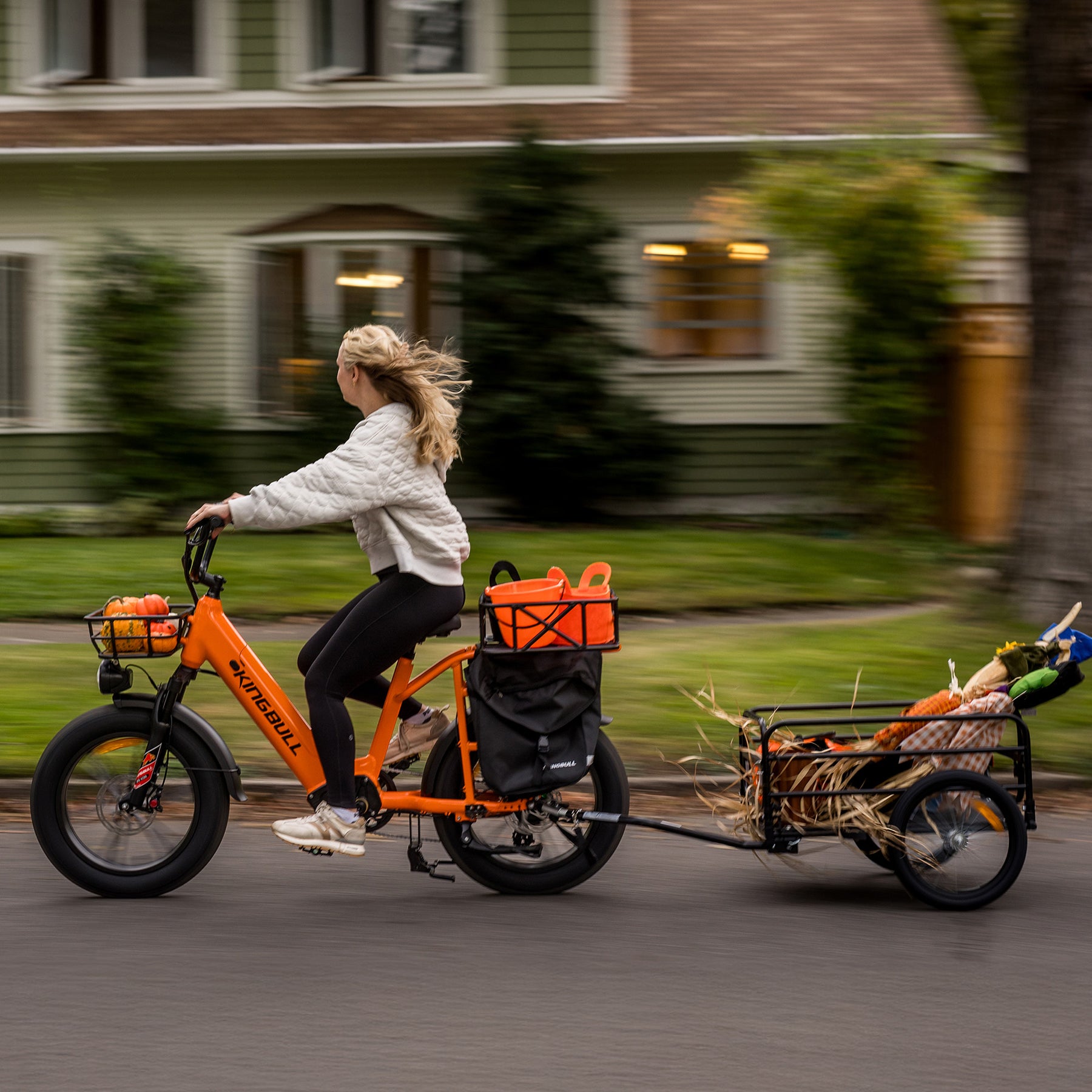 Kingbull Bikes Facebook ad