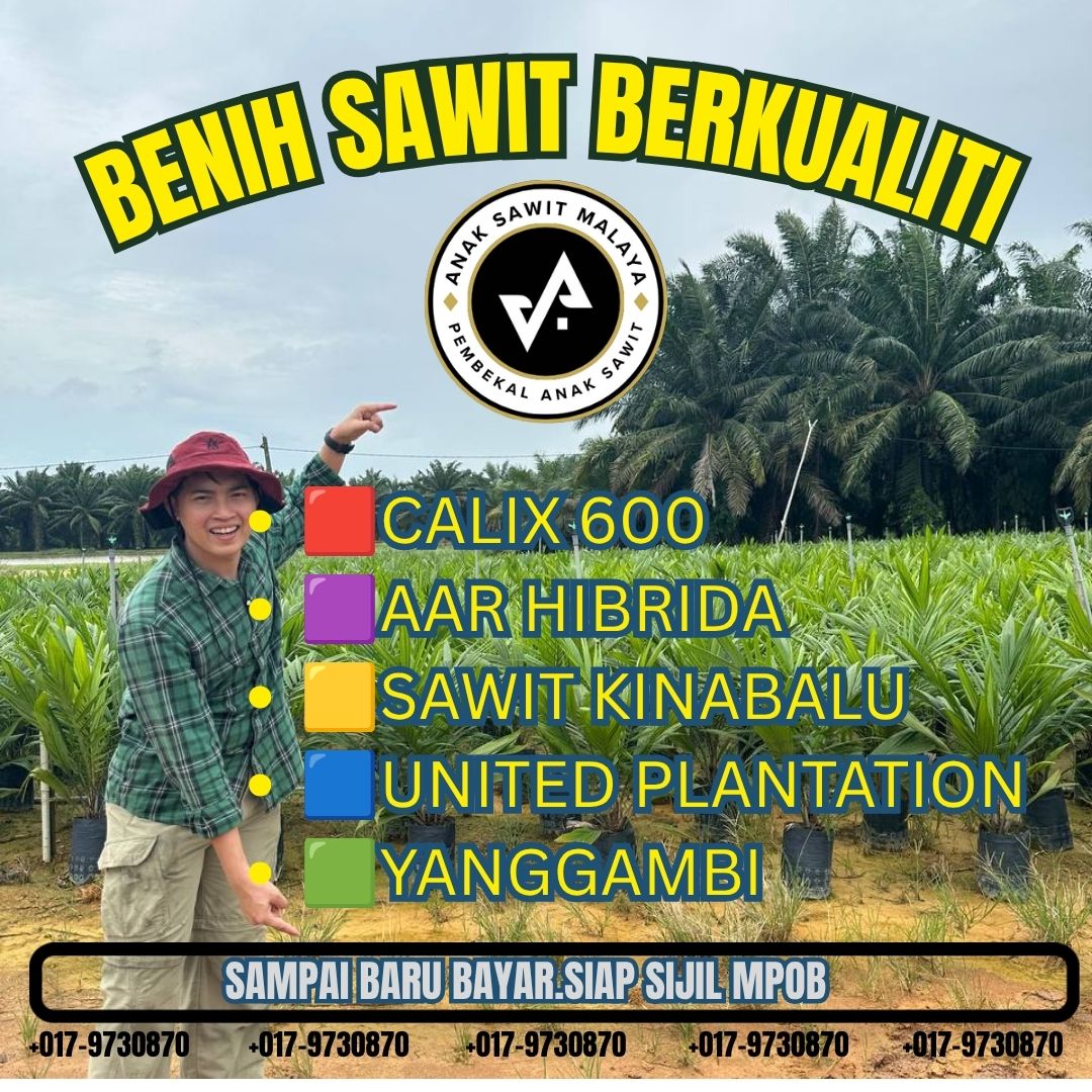 Anak Sawit Malaya HQ Facebook ad: 𝐀𝐍𝐀𝐊 𝐒𝐀𝐖𝐈𝐓 𝐒𝐀𝐌𝐏𝐀𝐈 𝐁𝐀𝐑𝐔 𝐁𝐀𝐘𝐀𝐑!