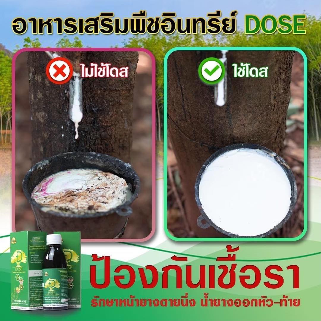 ໂດດCo2ປຸ໋ຍອາກາດເພິ່ມຜົນຜະລິດປະຢັດຕົ້ນທຶນ Facebook ad