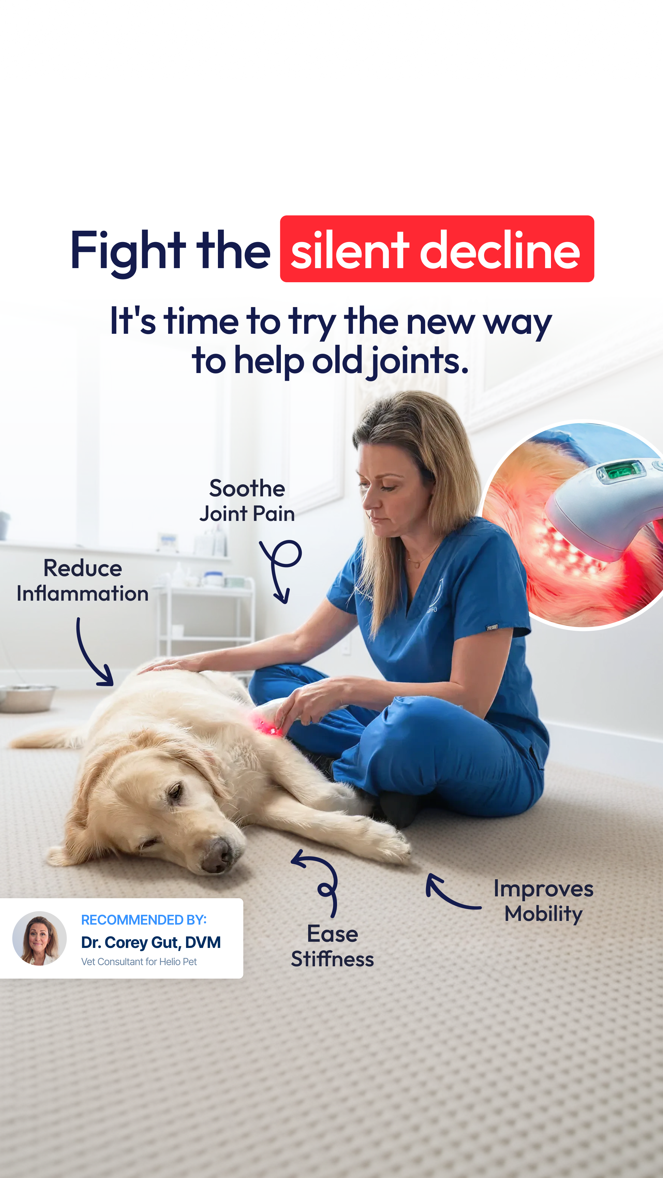 Helio Pet Facebook ad