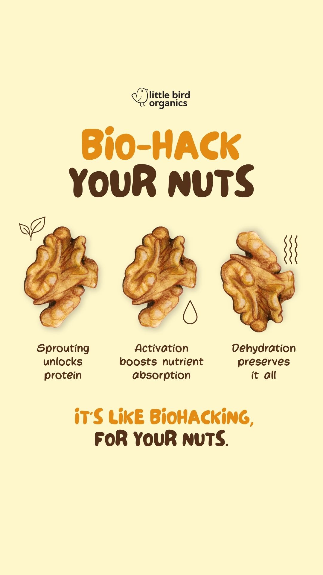 Little Bird Organics Facebook ad