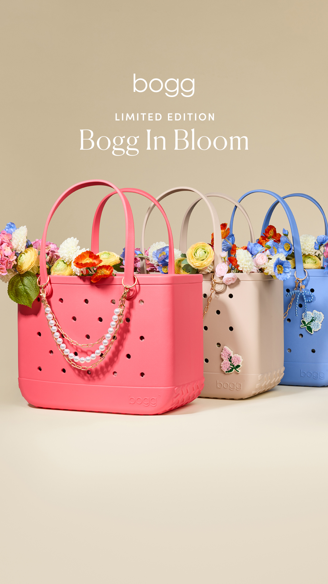 Bogg Bag Facebook ad