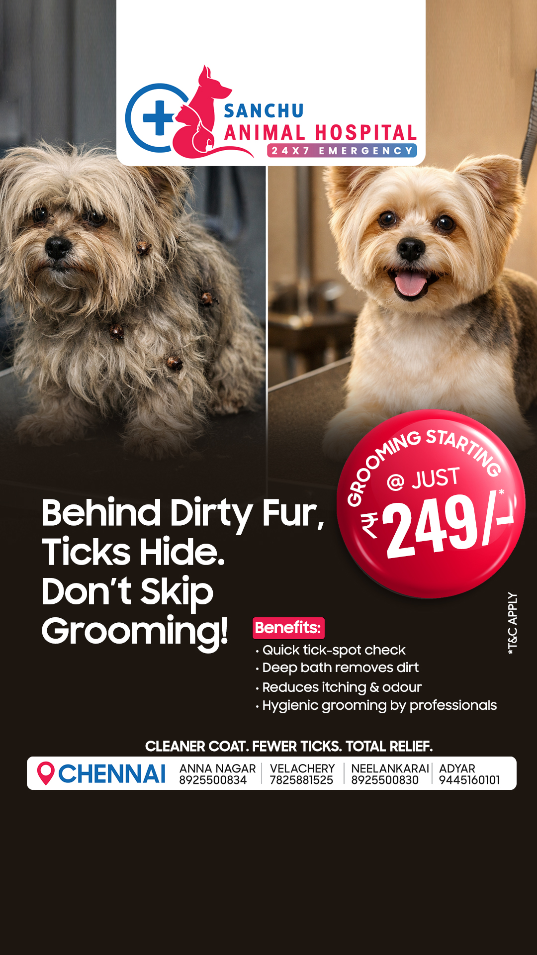 Sanchu Animal Hospital Facebook ad