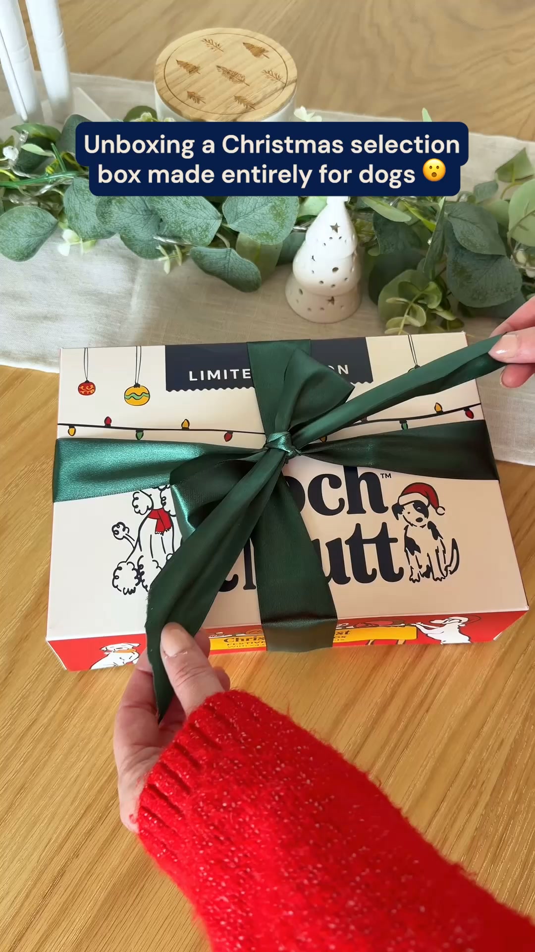 Pooch & Mutt Facebook ad: The Ultimate Dog Christmas Gift